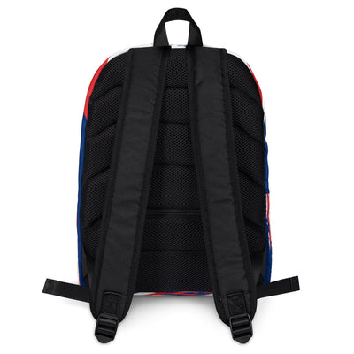 Painted flag Backpack